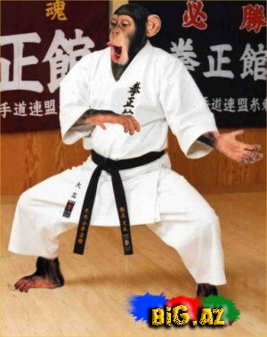 Maraqlı Şəkillər